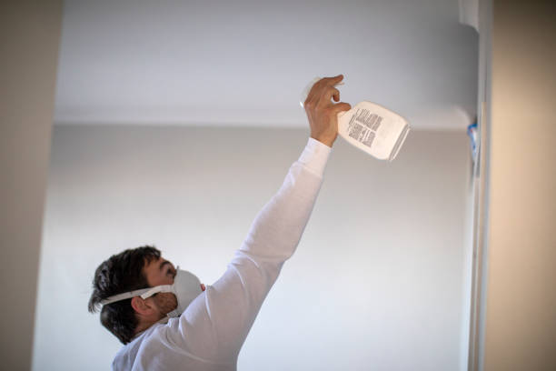 Best Mold Remediation for Schools in Chisago City, MN