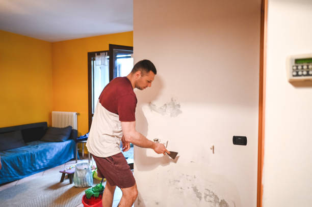 Best Basement Mold Remediation in Chisago City, MN